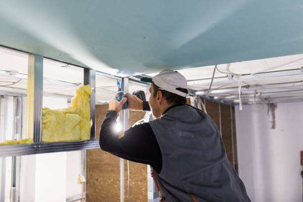 Best Insulation Maintenance and Repair in New Providence, NJ